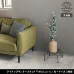 アイアンプランタースタンド「TWILL」(ツイル) ローサイズ 2個組 住まいスタイル