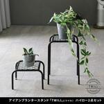 アイアンプランタースタンド「TWILL」(ツイル) 幅25 ハイロー 2点セット 住まいスタイル