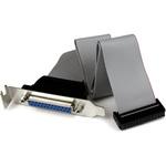 PLATE25F16LP 40cm マザーボードピンヘッダー接続パラレル(LPT)ポート増設ケーブル ロープロファイル対応PCIブラケット付き DB25 メス - IDCリボンケーブル(26ピン) StarTech.com
