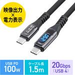 USB TypeCケーブル USB 20Gbps PD100W対応 サンワダイレクト