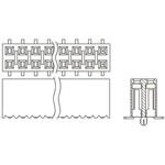 SSM-110-L-DV SSM-110-L-DV SAMTEC