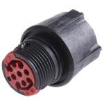 CL1F1201 CL1F1201 SOURIAU