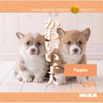 227210 MIXA IMAGE LIBRARY Vol.294 かわいい子犬 1個 ソースネクスト