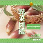 MIXA IMAGE LIBRARY Vol.293 野菜図鑑