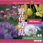 225330 MIXA IMAGE LIBRARY Vol.85 野花繚乱 ソースネクスト
