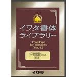 494T イワタ新楷書H/かなA イワタ(ソフト)