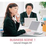 229550 natural images Vol.44 BUSINESS SCENE 1 ソースネクスト