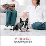 natural images Vol.88 WITH DOGS ソースネクスト