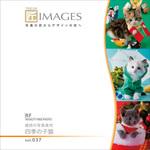 230980 匠IMAGES Vol.037 歳時の写真素材 四季の子猫 ソースネクスト