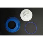 DS3132-BLUE PC用キャップアッセンブリー Thermo Fisher Scientific