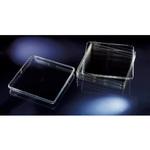バイオアッセイディッシュ Thermo Fisher Scientific