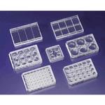 浮遊培養用マルチディッシュ Thermo Fisher Scientific