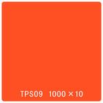 2890 タックペイント 一般タイプ TPS09 オレンジフレイム 1000mm×10m リンテックサインシステム