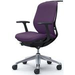 シルフィー 固定肘 背クッション ロー ブラックボディ ハンガー有 ランバー無 アルミ脚 オカムラ(岡村製作所)