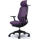 シルフィー固定肘 背メッシュEXハイ ブラックボディ ハンガー有 ランバー有 樹脂脚 オカムラ(岡村製作所)