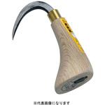 本樫 ノンコ 浅野木工所