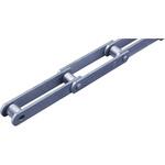 汎用大形コンベヤチェーン(DT仕様) Sローラ RF10125 椿本チエイン