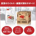 EA922KE-12CA スキッシュV(アルコール除菌液) エスコ