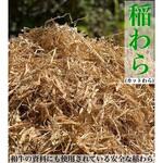 本命ギフト カットワラ#20 わら 【通販 アズマ 1パック(20kg) (稲わら) その他