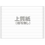 SF-01014 ストックフォーム 15×10インチ 罫線有(スリーライン) 明文舎印刷
