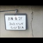 マグボードセット 土牛