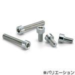 SNSN ニッケル六角穴付きボルト NBK(鍋屋バイテック会社)
