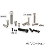 SNS-SD-EL 六角穴付き小頭ボルト NBK(鍋屋バイテック会社)