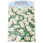 【タネ】クリサンセマム 福花園