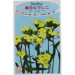 【タネ】美女なでしこ 福花園