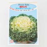 【タネ】葉牡丹 名古屋ちりめん 福花園
