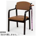 EC-WD24SEDK エコノチェア ウッディ 抗ウィルスコーティング ダークフレーム ブラウン オフィス・ラボ