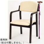 EC-WD24SEDK エコノチェア ウッディ 抗ウィルスコーティング ダークフレーム アイボリー オフィス・ラボ