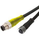 Brad 電源ケーブル 4 A 2m BRAD