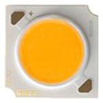 Cree COB LED 白 (17.85 x 17.85 x 1.7mm) CREE