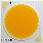 Cree COB LED 白 (23.85 x 23.85 x 1.7mm) CREE