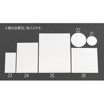 EA724ZW-23 100x200mm 平面ミラー(アクリル製) エスコ