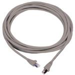 Cat6aケーブル Molex Premise Networks グレー STP Molex Premise Networks