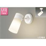 フランジタイプ LED電球T形 スポットライト 東芝ライテック