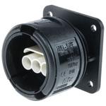 Elkay Electrical IECコネクタ 3極 16A 250 V ac/dc メス Elkay Electrical