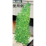 緑のカーテン(植物育成棚) ナリカ
