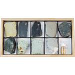 L55-1605 堆積岩標本 ナリカ