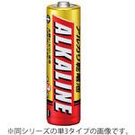 乾電池 ナリカ