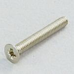 M2  x15mm 皿頭小ねじ(真鍮/65本) エスコ