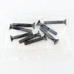 EA949NZ-425A M4x25mm 皿頭小ねじ(チタン/8本) エスコ
