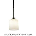 ERP7160SB ペンダントライト 灯体 ENDO(遠藤照明)