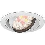 生鮮食品用照明 3000/4000TYPE Φ150 生鮮ナチュラルタイプ ENDO(遠藤照明)