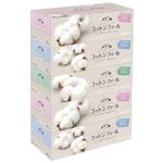 エリエール コットンフィールティシュ エリエール