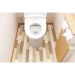 抗菌・消臭トイレ模様替え KSBKT-04 明和グラビア