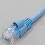 cat5e utpケーブル】のおすすめ人気ランキング - モノタロウ