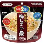 マジックライス 20食入 サタケ